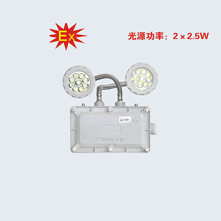 BCJ系列防爆消防应急双头照明灯具(IIC)