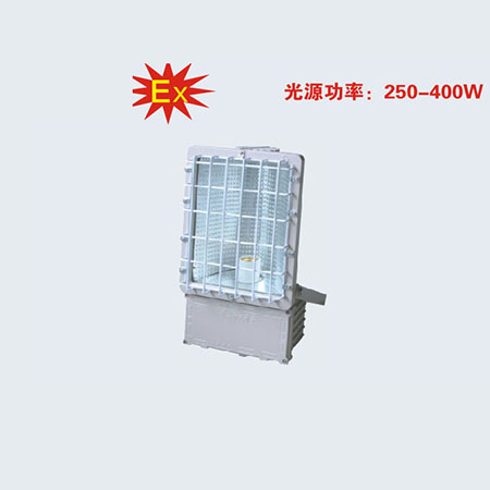 BTd92(C)系列防爆泛光灯(IIB)