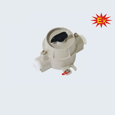 SW-16系列防爆照明开关(IIB、IIC、ExtD)
