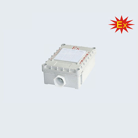 BQM-10系列防爆墙壁开关(IIC、ExtD)